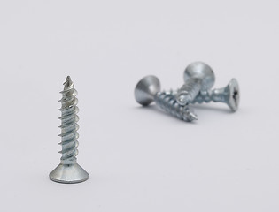 Image showing Screws