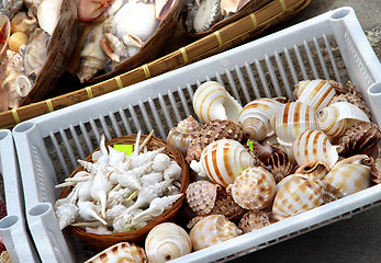 Image showing Seashell market