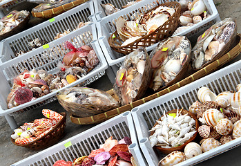 Image showing Seashell market