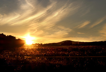 Image showing Amazing sunset