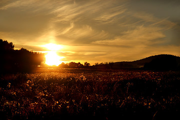 Image showing Amazing sunset