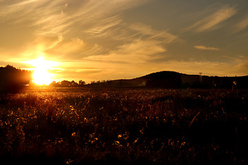 Image showing Amazing sunset