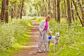 Image showing The woman walks with a dog in a wood