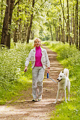 Image showing The woman walks with a dog in a wood