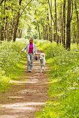 Image showing The woman walks with a dog in a wood