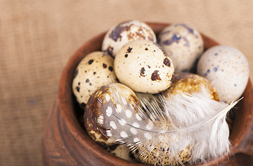 Image showing Quail eggs in a jug, a feather on a canvas