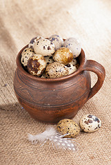 Image showing Quail eggs in a jug, a feather on a canvas