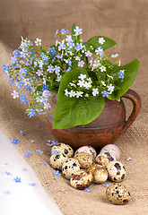 Image showing quail eggs and  flowers
