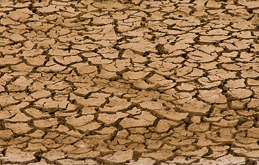 Image showing Dry Soil