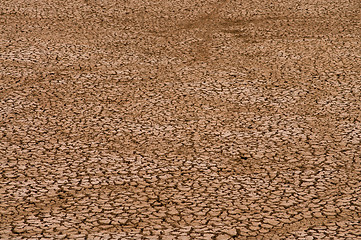 Image showing Dry Soil