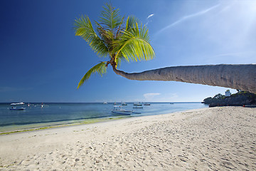 Image showing Panglao Island, Bohol