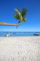 Image showing Panglao Island, Bohol