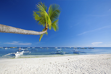 Image showing Panglao Island, Bohol