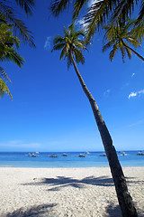 Image showing Panglao Island, Bohol