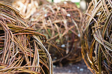 Image showing Twisted willow twigs of balls for landscaping