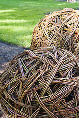 Image showing Twisted willow twigs of balls for landscaping