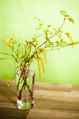 Image showing  fresh branches of a birch in a glass on a table