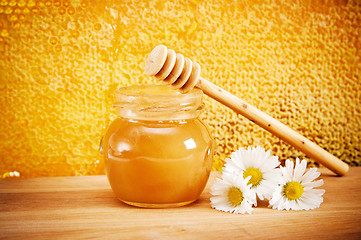 Image showing jar of honey on the background of honeycombs 