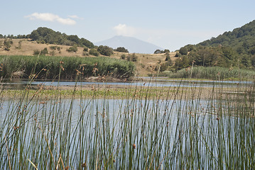 Image showing Biviere lake with views of Etna