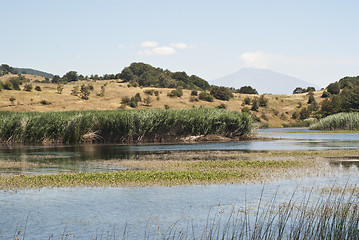 Image showing Biviere lake with views of Etna