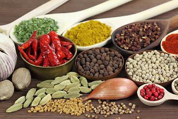 Image showing Spices