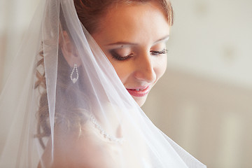 Image showing Wedding veil