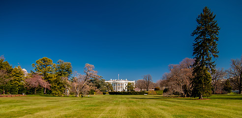 Image showing The White House in Washington DC with beautiful blue sky