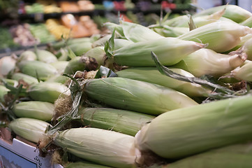 Image showing corn on display at farmers market