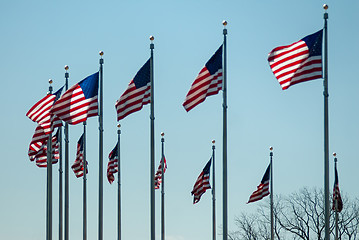 Image showing dozen american flags waving in the wind