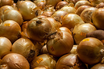 Image showing Onions on Display at Farmer's Market