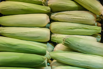 Image showing corn on display at farmers market