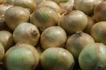 Image showing Onions on Display at Farmer's Market