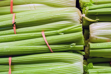 Image showing celery stalks