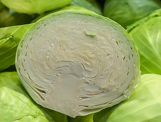 Image showing cabbage on display at farmers market