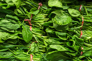 Image showing fresh green leaves spinach