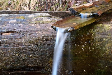 Image showing wood channel at a spring