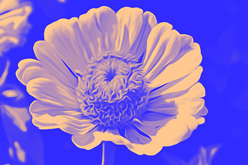 Image showing Decorative flowers in the style of airbrushing -