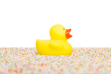 Image showing Rubber duck isolated