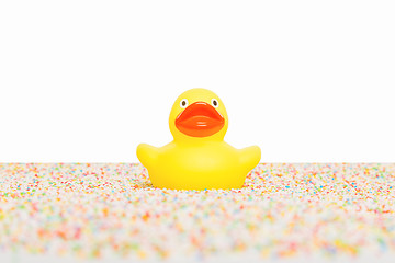 Image showing Rubber duck isolated