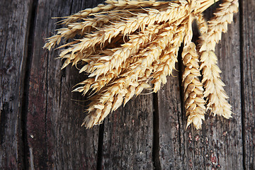 Image showing Bunch of golden ears of wheat on wood