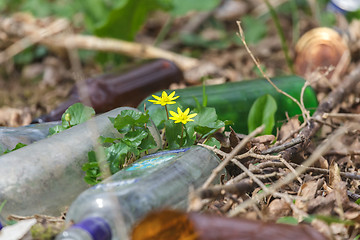 Image showing Dump in the woods