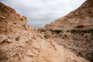 Image showing Judean desert