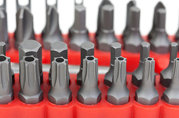 Image showing set of different sizes torx bits