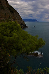 Image showing and coastline in via dell amore italy