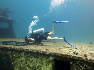 Image showing diver