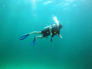 Image showing diver