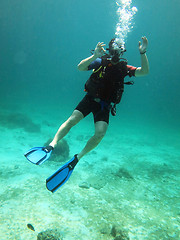 Image showing ok diver