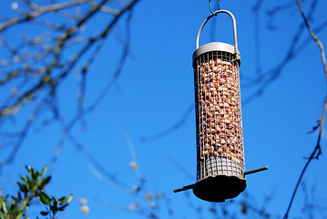 Image showing Bird feeder full of peanuts hanging against a blue sky