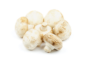 Image showing Mushrooms