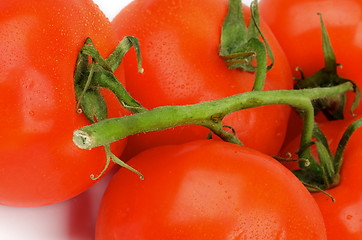 Image showing Tomatoes with Stems